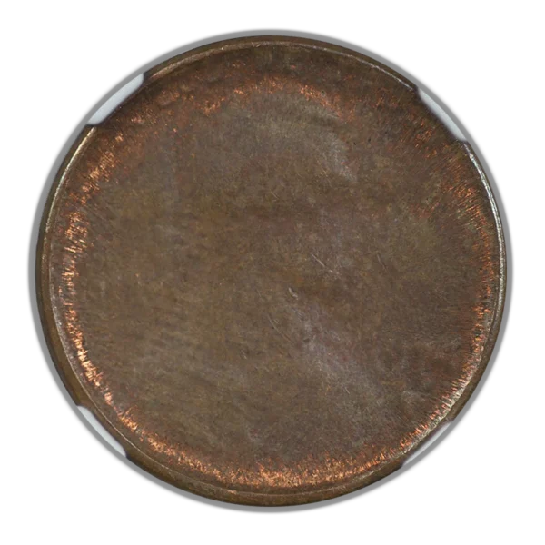 1974-D Lincoln Memorial Cent 1C NGC Mint Error MS64RB - Obverse Struck Thru Capped Die Obverse Slab - Image 3