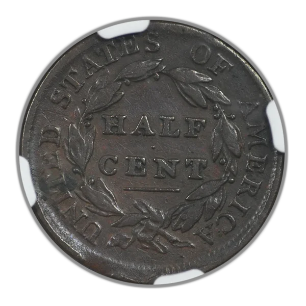 1809 Classic Head Half Cent 1/2C NGC F15BN - Image 4