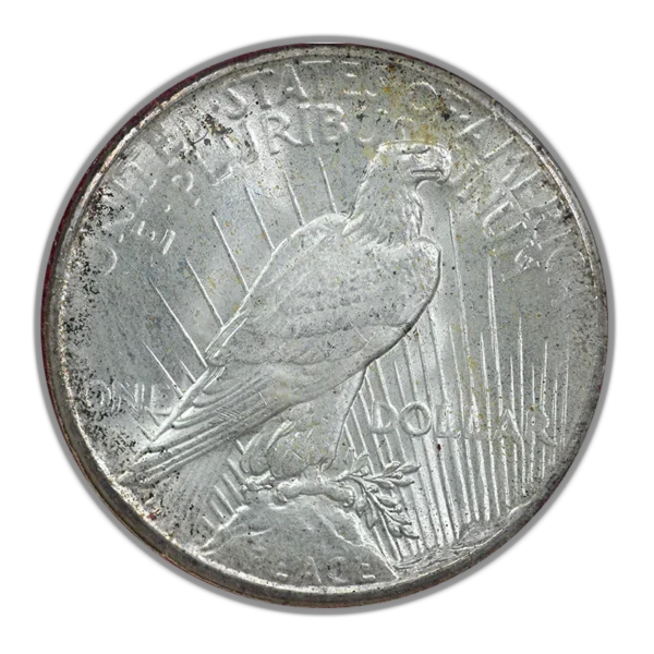 1928 Peace Dollar $1 Paramount NGC MS63 - Image 4